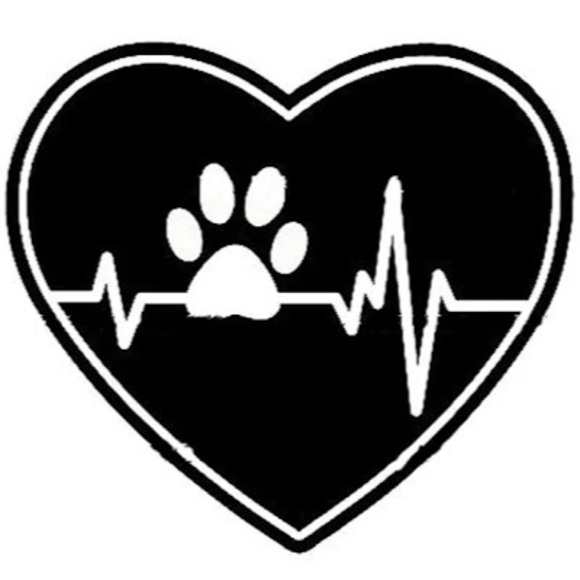 Meet your Posher, Haily - Picture 1 of 1